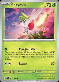 Carte Pokémon