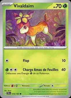 Carte Pokémon