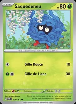 Carte Pokémon