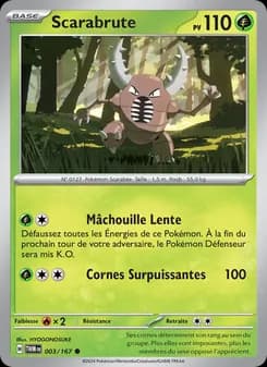 Carte Pokémon