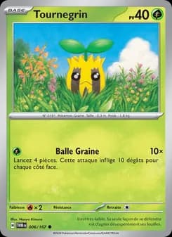 Carte Pokémon