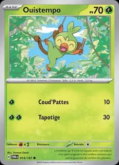 Carte Pokémon