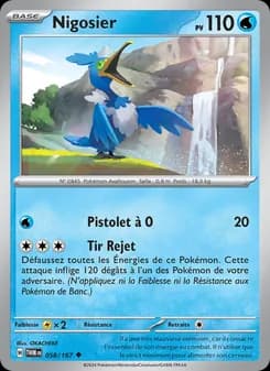 Carte Pokémon