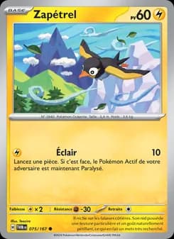 Carte Pokémon