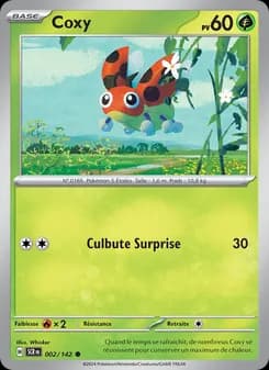 Carte Pokémon