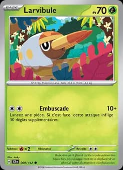 Carte Pokémon