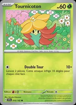 Carte Pokémon
