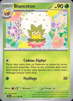 Carte Pokémon