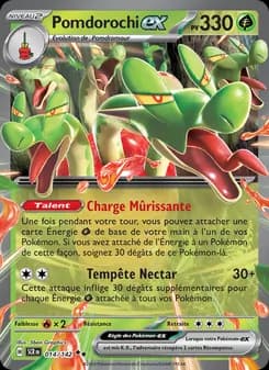 Carte Pokémon