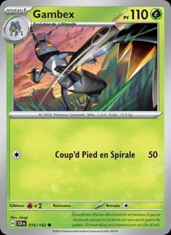 Carte Pokémon