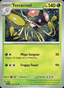 Carte Pokémon