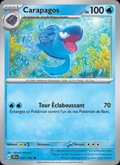 Carte Pokémon