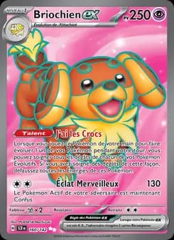 Carte Pokémon