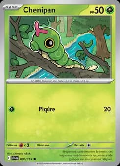 Carte Pokémon