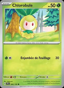 Carte Pokémon