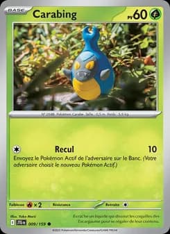 Carte Pokémon