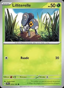 Carte Pokémon