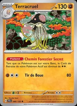 Carte Pokémon