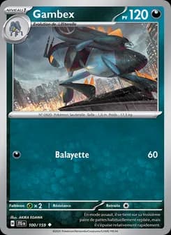 Carte Pokémon