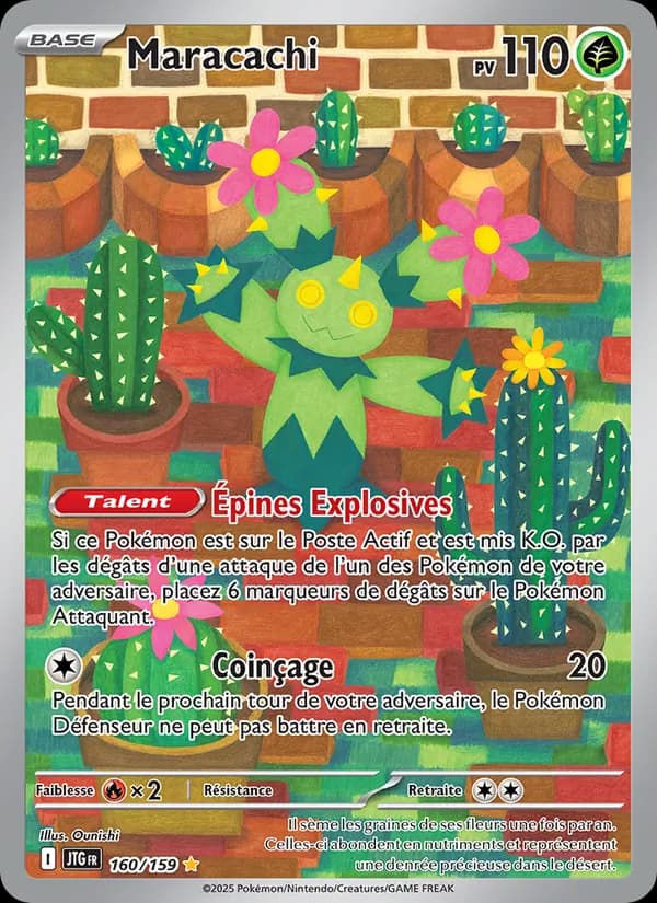 Maracachi