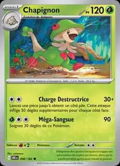 Carte Pokémon