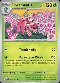 Carte Pokémon