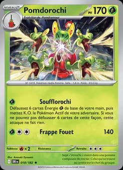 Carte Pokémon