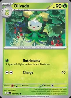 Carte Pokémon