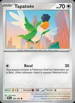 Carte Pokémon
