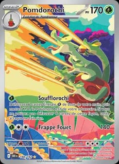 Carte Pokémon