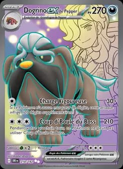 Carte Pokémon