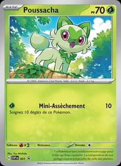 Carte Pokémon