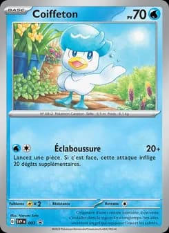 Carte Pokémon