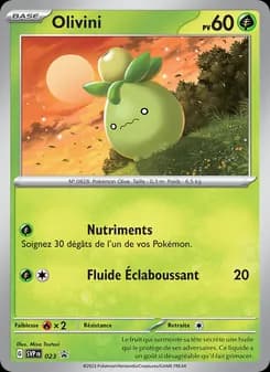 Carte Pokémon