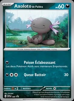 Carte Pokémon