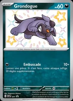 Carte Pokémon