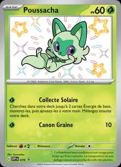 Carte Pokémon