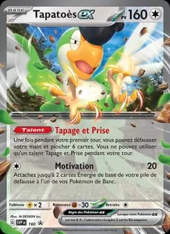 Carte Pokémon