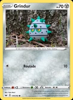 Carte Pokémon