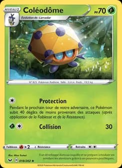 Carte Pokémon