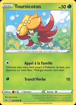 Carte Pokémon