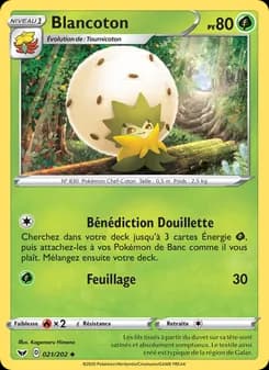 Carte Pokémon