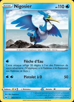 Carte Pokémon