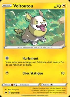 Carte Pokémon
