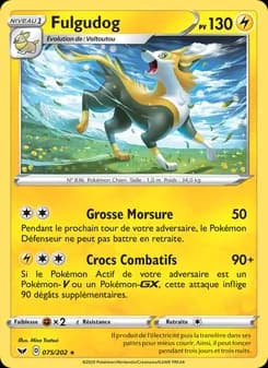 Carte Pokémon