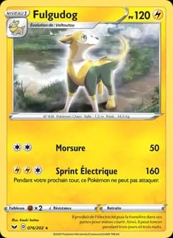 Carte Pokémon