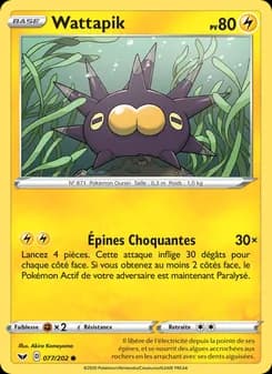 Carte Pokémon