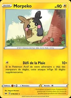 Carte Pokémon