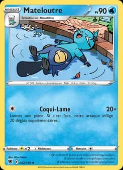 Carte Pokémon