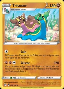 Carte Pokémon